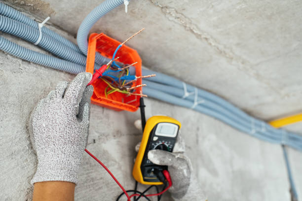 Best Ceiling Fan Installation Electrician  in Mallory, WV